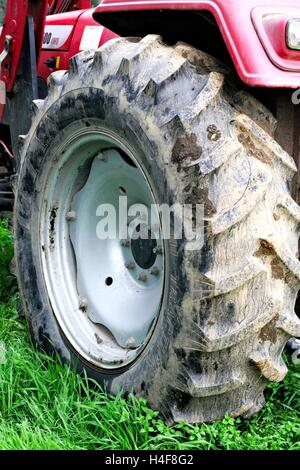 Large, muddy tractor tyre attached to a red tractor, on green grass. Stock Photo