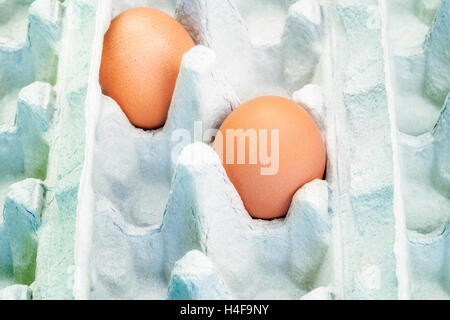 Two Eggs in empty carton package Stock Photo