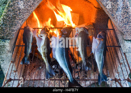 Fishes (cod and saithe) grilling on a fire in Norway Stock Photo