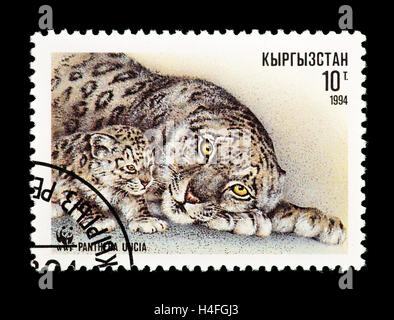 Postage stamp from Kyrgyzstan depicting a snow leopard and cub (Panthera uncia) Stock Photo