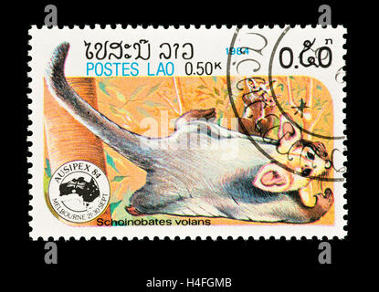 Postage stamp from Laos depicting greater glider (Petauroides volans) Stock Photo