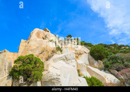Small green pine trees growing on rocks formation, Punta Molentis, Sardinia island, Italy Stock Photo