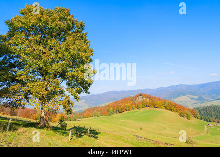 View of green hills and autumn landscape of Pieniny Mountains, Poland Stock Photo