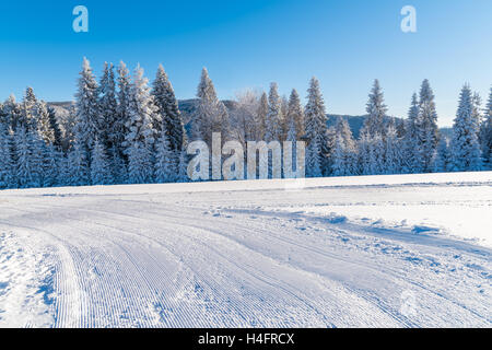 Groomed ski run in winter landscape of Beskid Sadecki Mountains on sunny day, Poland Stock Photo