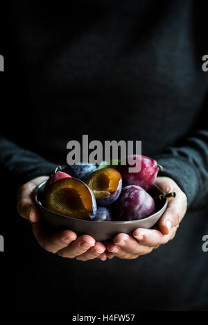 Hands holding a bowl of fresh plums Stock Photo