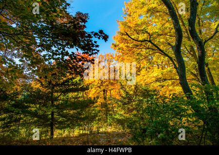 Fall Foliage Harriman State Park New York Stock Photo