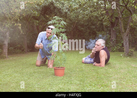 Two seniors smoking marijuana joint and relaxing next to the Cannabis plant outdoors in the garden. Stock Photo