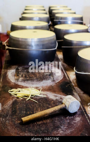 Making of Parmigiano Reggiano Stock Photo