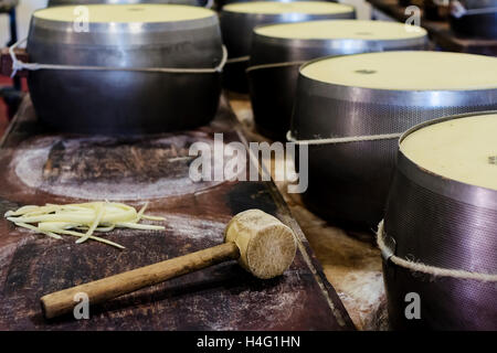 Making of Parmigiano Reggiano Stock Photo