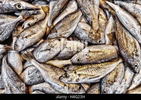 Mackerel on sale at a market. Stock Photo