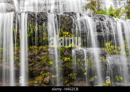 Flowing water over rocks and ferns cascade closeup. Tasmania, Australia. Stock Photo