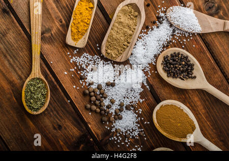 Variation of spices on spoons, product photo, simple composition Stock Photo
