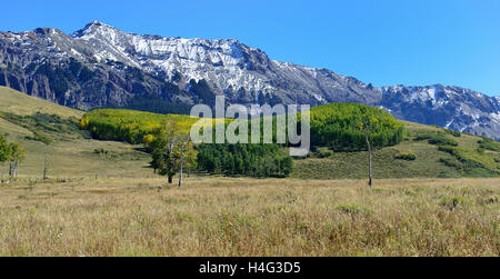 mountains with colorful yellow, green and red aspen during foliage season on Last Dollar road in Colorado Stock Photo