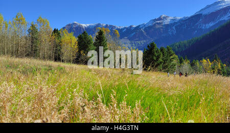 hiking through the alpine landscape during foliage season in Colorado Stock Photo