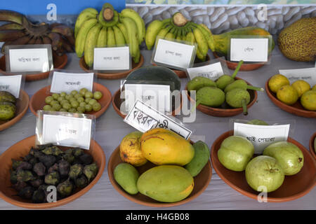 Dhaka, Bangladesh. 16th Oct, 2016. Varieties type of fruits displayed in the food fair in Dhaka, Bangladesh.On October 16, 2016 Bangladesh Agriculture Ministry & Food and Agriculture Organization of the United Nations jointly organized a rally and Food Fair with a slogan ' Climate is changing. Food agriculture must too.' to Celebrating World Food Day in Dhaka, Bangladesh. Credit:  Mamunur Rashid/Alamy Live News Stock Photo