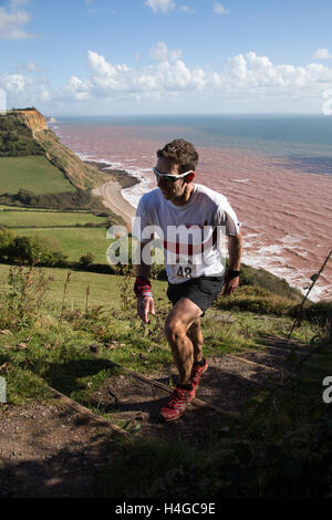 Big Dipper Rabbit Run The Big Dipper Run, near Sidmouth, Devon Stock Photo - Alamy