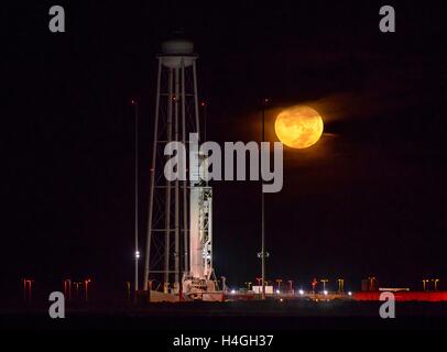 Wallops, Virginia, USA. 15th Oct, 2016. The Orbital ATK Antares rocket with the Cygnus spacecraft onboard, is in ready position at launch Pad-0A, during a full moon at NASA Wallops Flight Facility October 15, 2016 in Wallops, Virginia. The Antares will launch with the Cygnus spacecraft filled with over 5,100 pounds of supplies for the International Space Station. Credit:  Planetpix/Alamy Live News Stock Photo