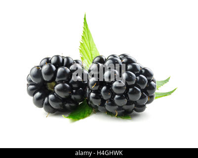 Blackberry. Ripe fresh blackberries isolated on white background with green leaves. Stock Photo