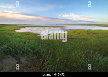 Bay Piltun in the north of Sakhalin Island and its surroundings, Sakhalin Island, Russia. Stock Photo