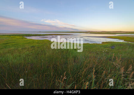 Bay Piltun in the north of Sakhalin Island and its surroundings, Sakhalin Island, Russia. Stock Photo