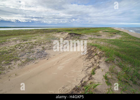 Bay Piltun in the north of Sakhalin Island and its surroundings, Sakhalin Island, Russia. Stock Photo