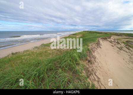 Bay Piltun in the north of Sakhalin Island and its surroundings, Sakhalin Island, Russia. Stock Photo