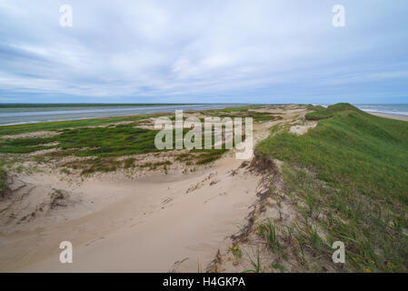 Bay Piltun in the north of Sakhalin Island and its surroundings, Sakhalin Island, Russia. Stock Photo