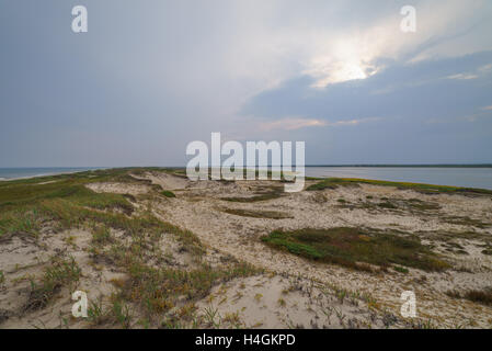 Bay Piltun in the north of Sakhalin Island and its surroundings, Sakhalin Island, Russia. Stock Photo