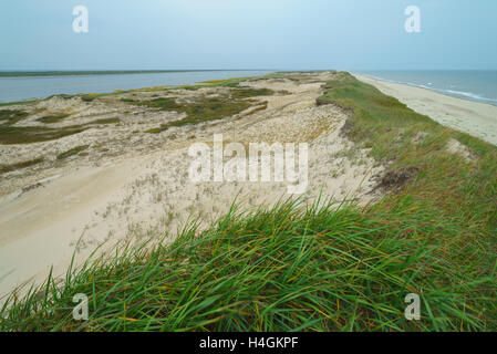 Bay Piltun in the north of Sakhalin Island and its surroundings, Sakhalin Island, Russia. Stock Photo