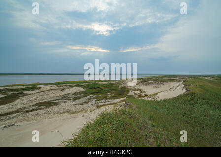 Bay Piltun in the north of Sakhalin Island and its surroundings, Sakhalin Island, Russia. Stock Photo