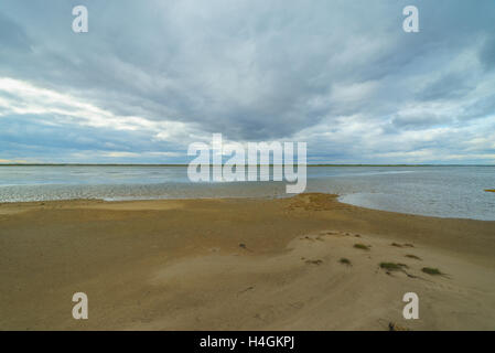 Bay Piltun in the north of Sakhalin Island and its surroundings, Sakhalin Island, Russia. Stock Photo