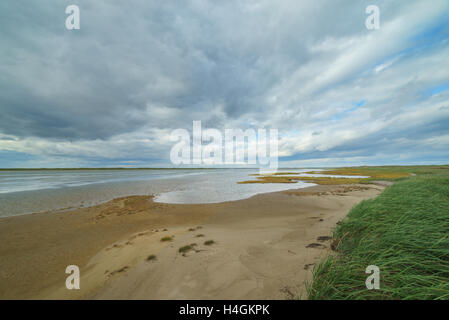 Bay Piltun in the north of Sakhalin Island and its surroundings, Sakhalin Island, Russia. Stock Photo