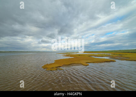 Bay Piltun in the north of Sakhalin Island and its surroundings, Sakhalin Island, Russia. Stock Photo