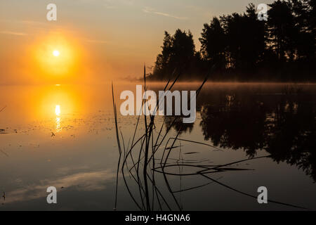 Dawn on the river in the Russian sun in the fog Stock Photo