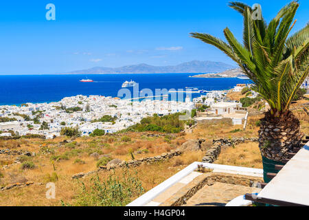 View of Mykonos port with palm tree in foreground, Mykonos island, Greece Stock Photo