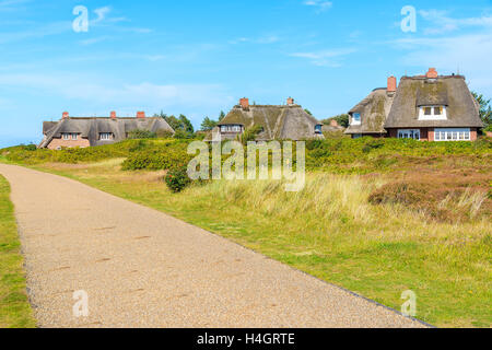 Traditional houses with thatched roofs in countryside landscape of Sylt island in Kampen village, Germany Stock Photo