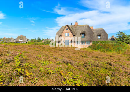 Traditional houses with thatched roofs in countryside landscape of Sylt island in Kampen village, Germany Stock Photo