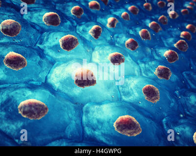 Embryonic stem cell colony , Cellular therapy , Regeneration , Disease treatment Stock Photo