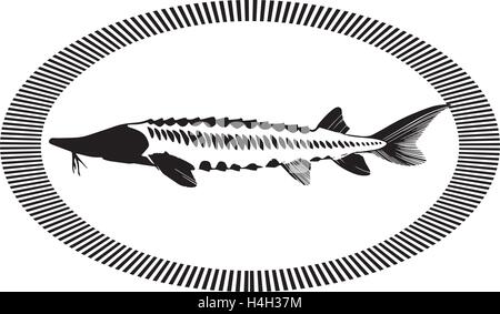 Caviar Concept Designs. AI 10 supported. Stock Vector