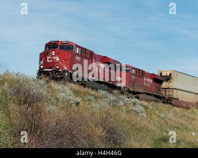 Canadian Pacific Railway locomotives pulling intermodal rail cars on a freight train, Alberta, Canada Stock Photo