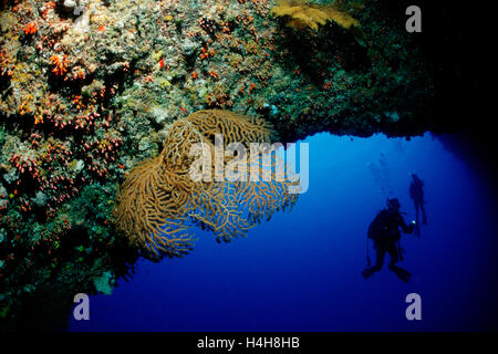 Diver in Virgin Blue Hole cave, Palau, Micronesia, Pacific Stock Photo