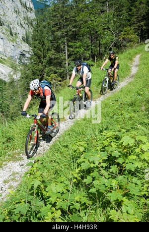 Cyclists riding along the Steirersteg bike trail in Kalkalpen National Park, Upper Austria, Austria, Europe Stock Photo