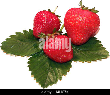 Fresh strawberries on summer , strawberries,seasonal fruits on spring,red fruit Stock Photo