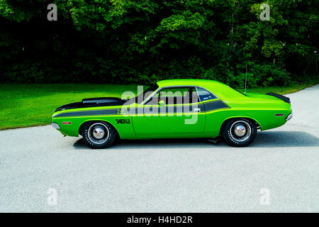 1970 Dodge Challenger TA Stock Photo