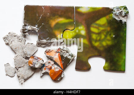 Pieces of Disney store the Lion King jigsaw puzzle chewed by hungry pet Stock Photo