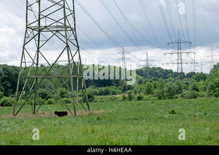 High voltage electricity pylons, Leichlingen, North Rhine-Westphalia, Germany. Stock Photo