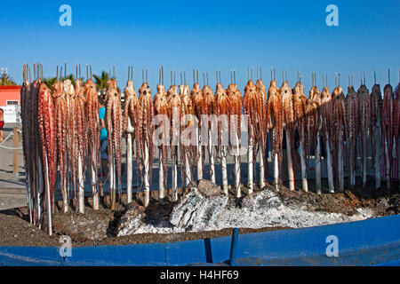 Octopus being grilled over open fire at a restaurant on the beach, Salobrena, Costa Tropical,Granada Province, Andalucia, Spain Stock Photo