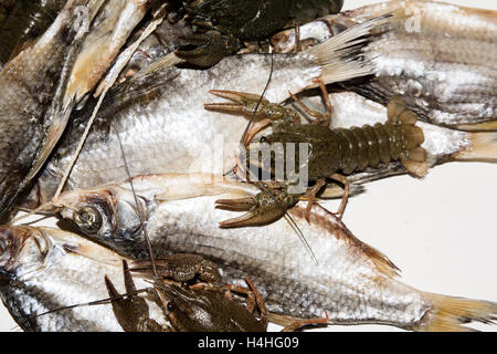 Dry fish and alive crayfish on white background. Dead dry salty fish and alive river crayfish - snack to beer. Closeup. Stock Photo