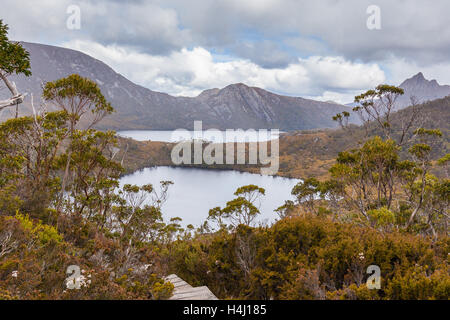 Wombat pool and Dove Lake in Cradle Mountain National Park, Tasmania, Australia Stock Photo