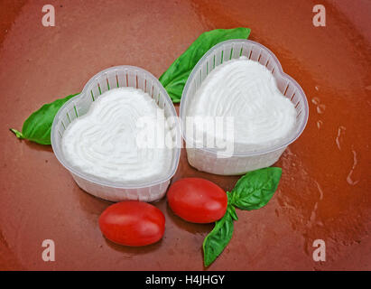 Fresh Italian giuncata cheese Stock Photo